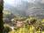 les gorges du loup